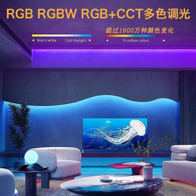 Thương mại Magic COB LED Strip Dream Full Color DC 24V Địa chỉ 5